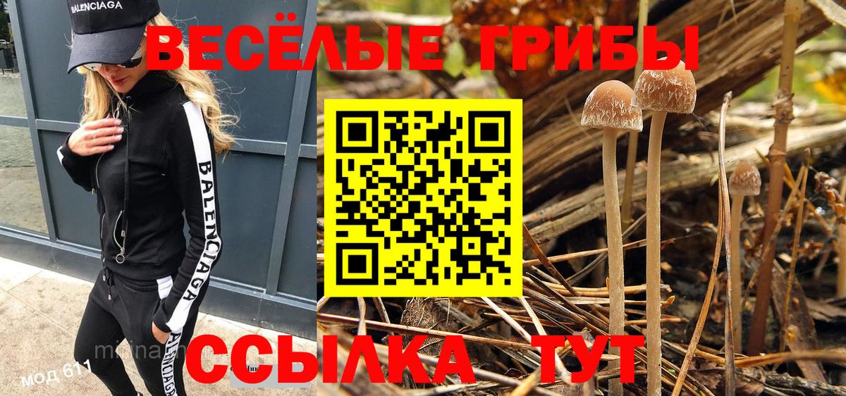 Галлюциногенные грибы Magic Shrooms Южноуральск